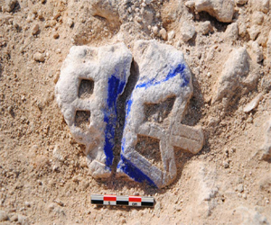   مصر اليوم - هيئة متاحف قطر تنقب عن آثار في الدوحة